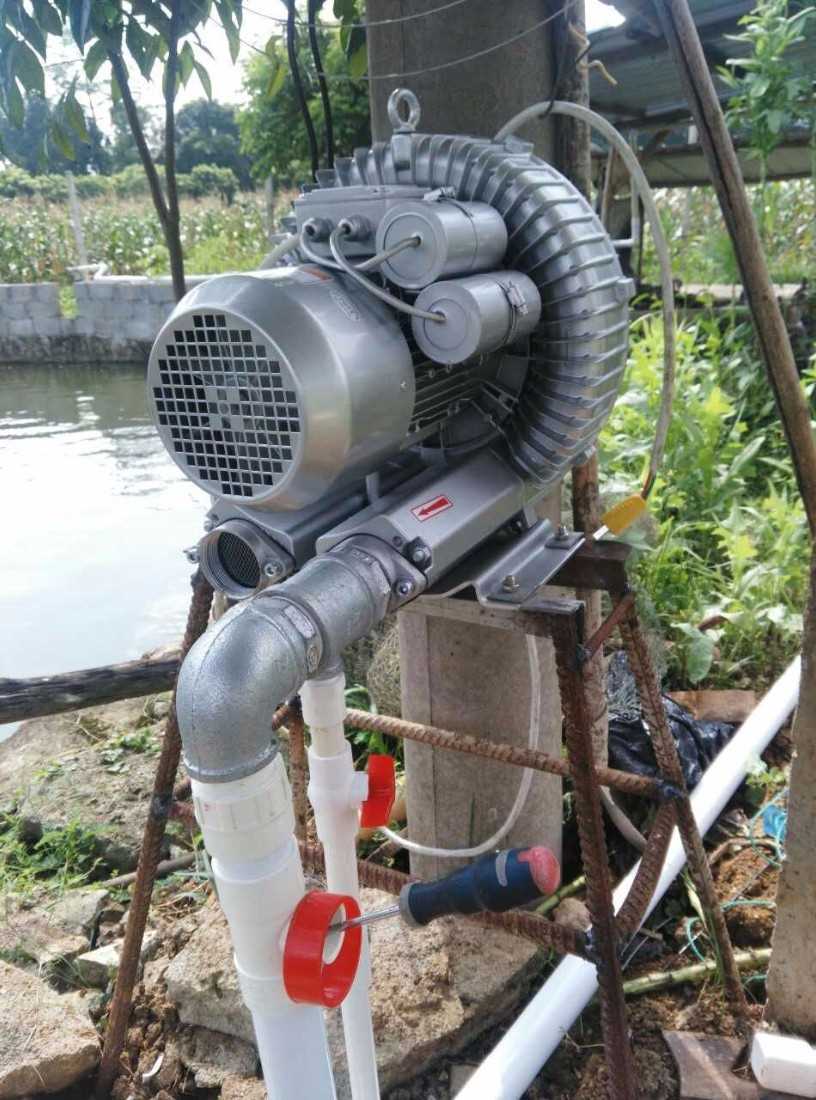 魚塘供氧旋渦風(fēng)機(jī)的維護(hù)保養(yǎng)方法